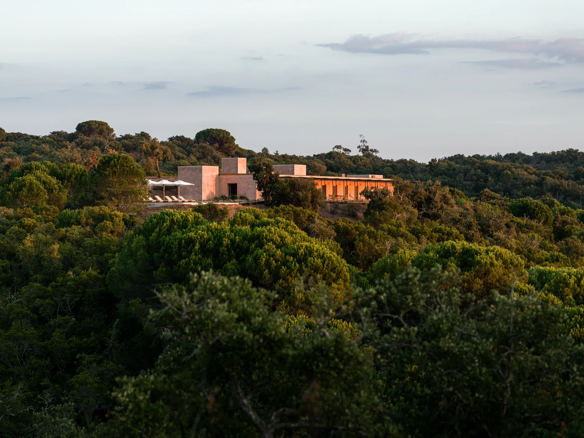 RockRose at golden hour, set into the pine forest above the Atlantic