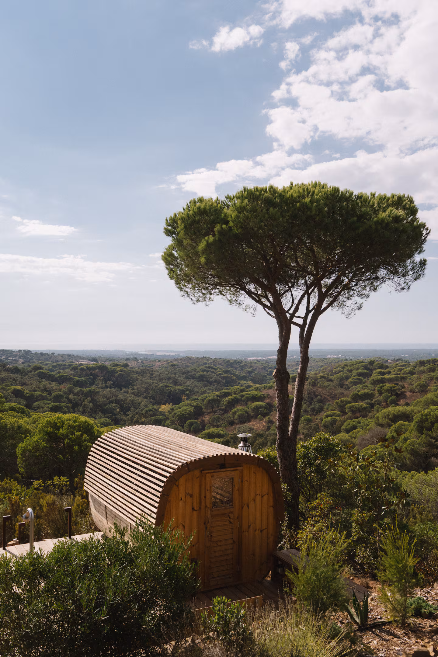 Stone pine over the horizon