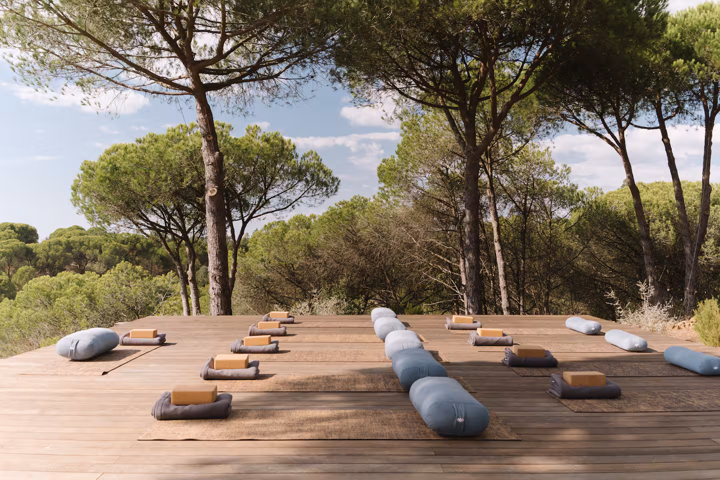 Yoga deck in the pine grove
