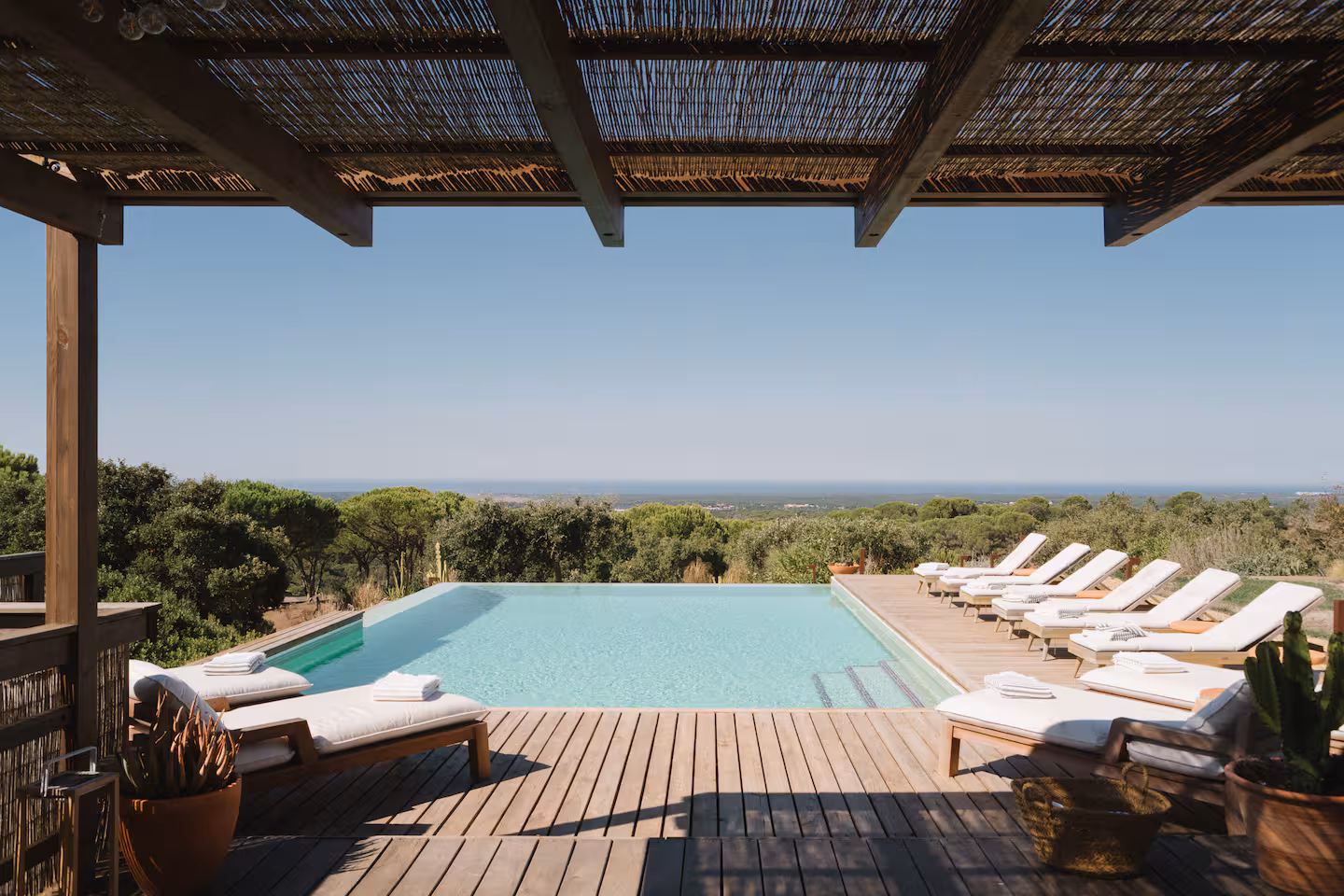 Infinity pool above the pines