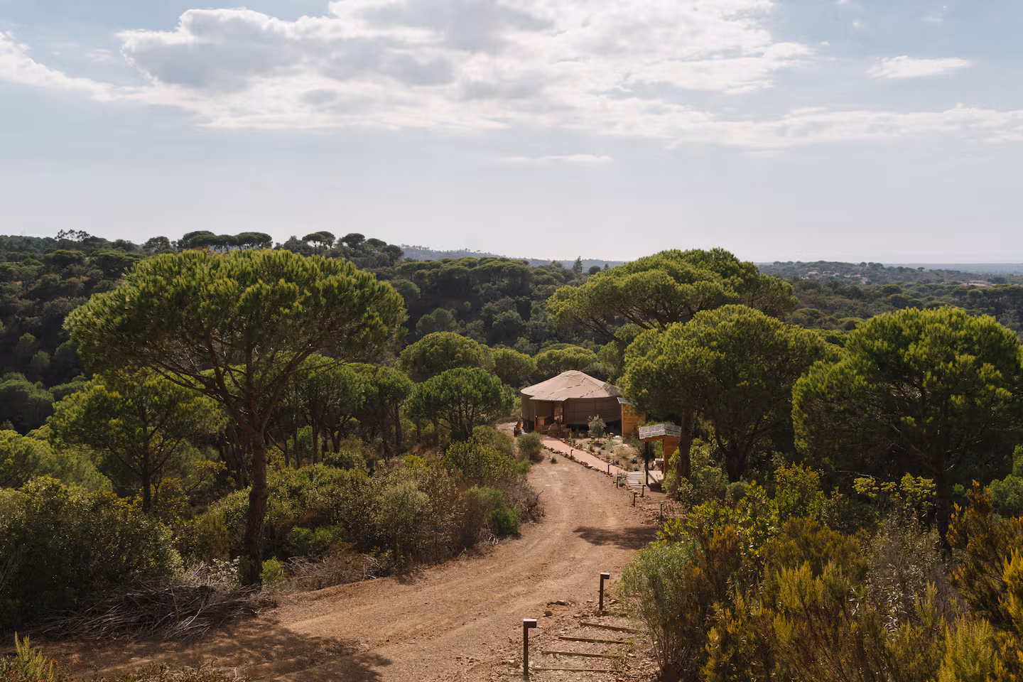 The property nestled in the pine forest