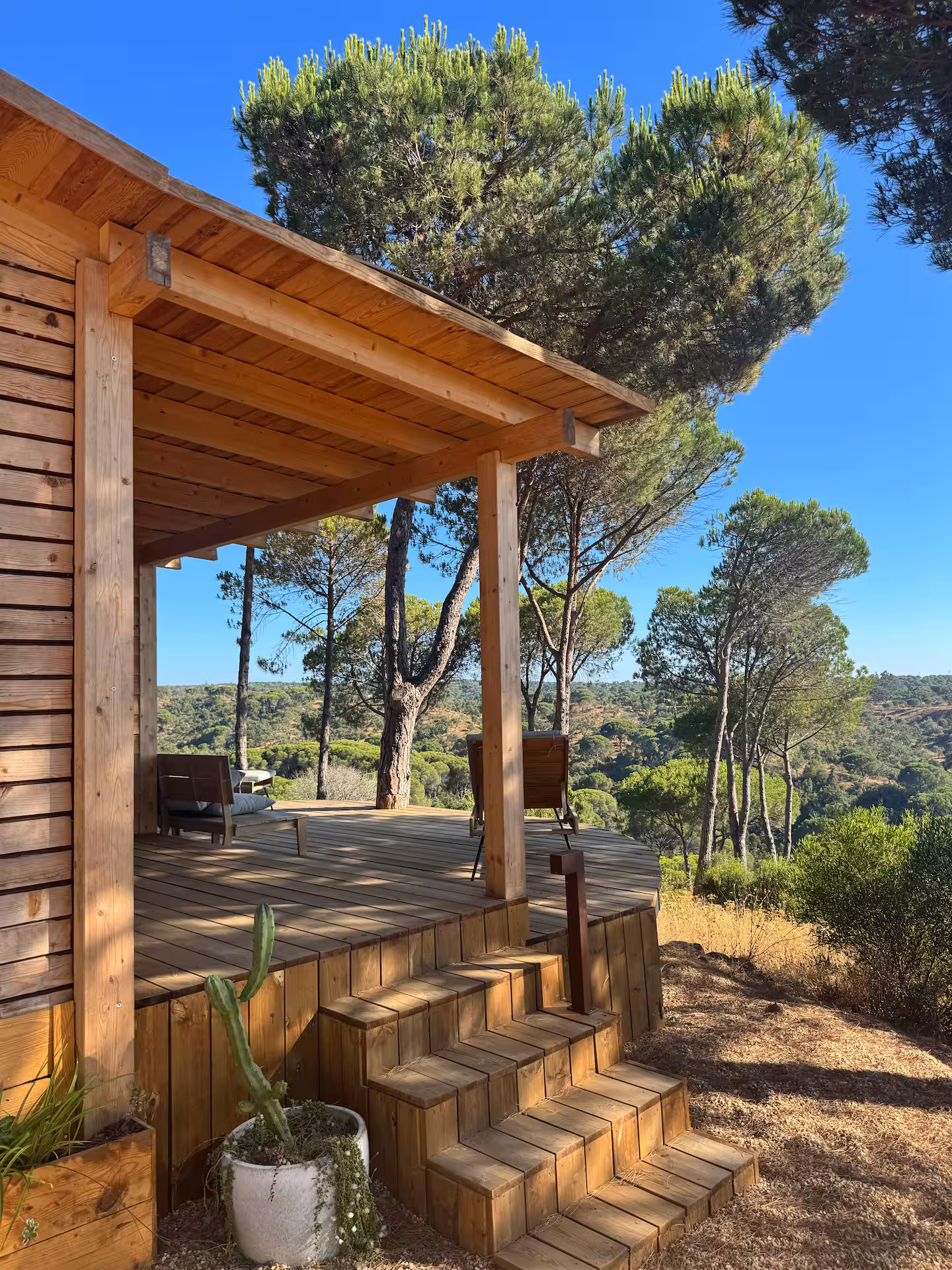 Wooden cabin porch under the stone pines