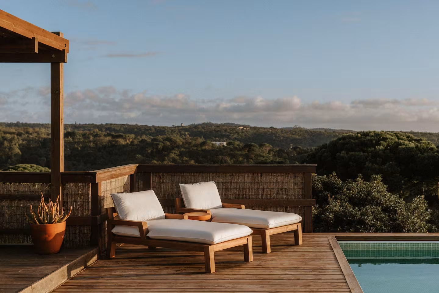 Sun deck above the pine forest