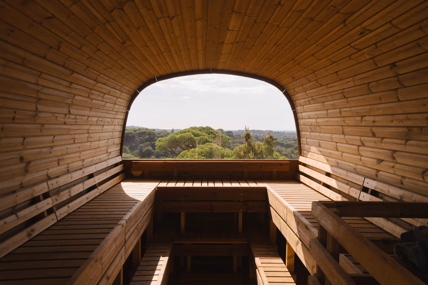 Arched sauna interior with the pines beyond