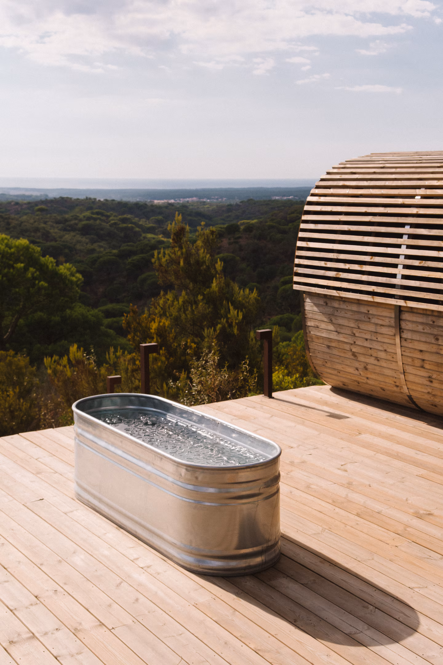 Cold plunge above the pine forest